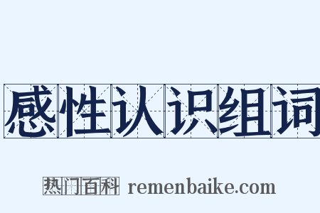 感性认识组词是什么意思的图片